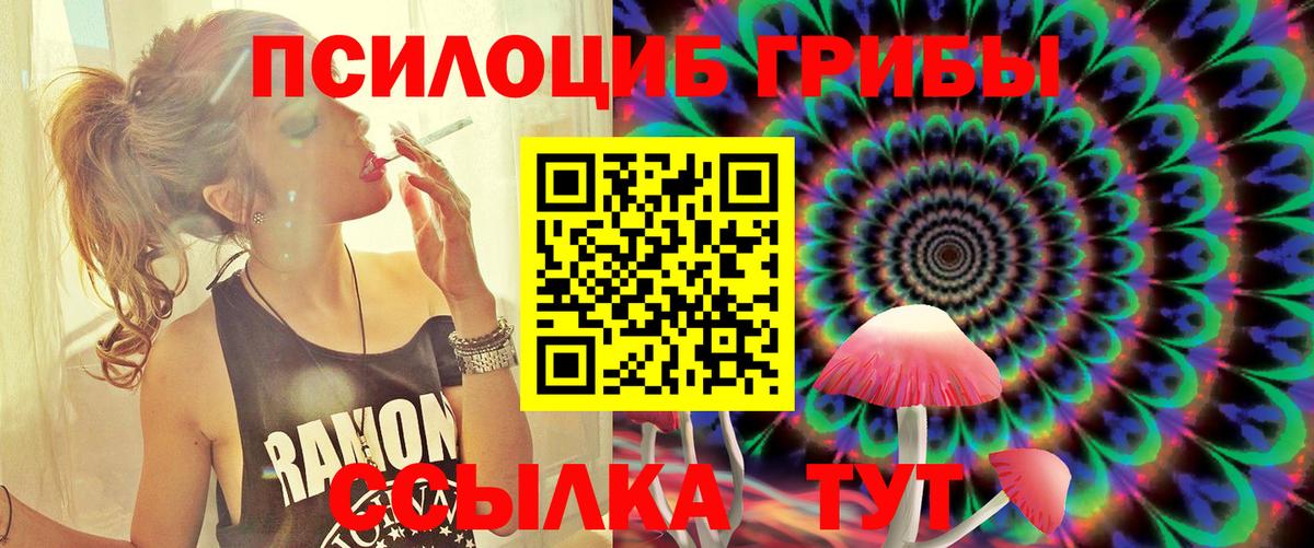 Галлюциногенные грибы Psilocybine cubensis  Вход с VPN  Галлюциногенные грибы мухоморы  Иваново 