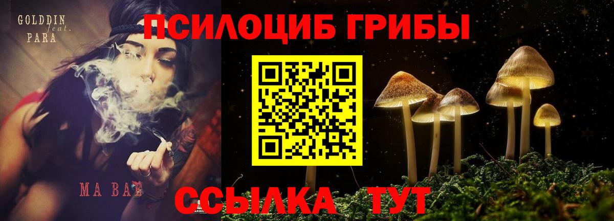 Галлюциногенные грибы Psilocybine cubensis Иваново